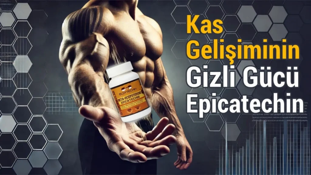 epicatechin nedir